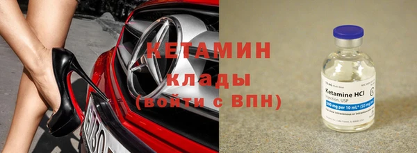 шишки Долгопрудный