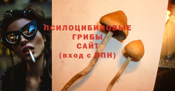 прущий лед Лагань