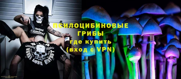 прущий лед Лагань